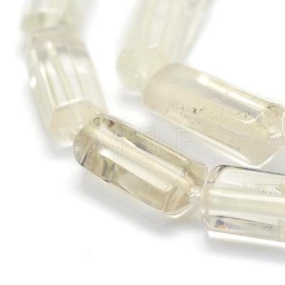 Natural Quartz Crystal Beads Strands G-L464-24-1