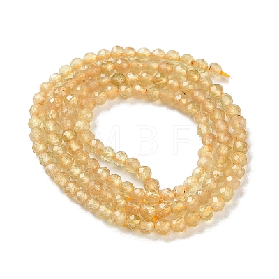 Natural Yellow Apatite Beads Strands G-N342-20B-01-1