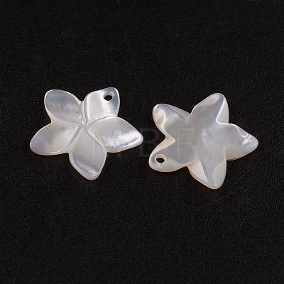 Natural White Shell Mother of Pearl Shell Pendants X-SSHEL-G014-60-1