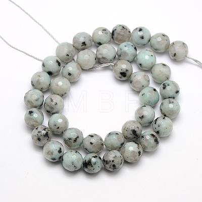 Natural Sesame Jasper/Kiwi Jasper Beads Strands G-L147-8mm-01-1