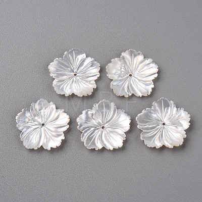 Natural White Shell Mother of Pearl Shell Beads SSHEL-R144-37-1