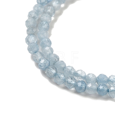 Natural Aquamarine Beads Strands G-B074-B01-01-1