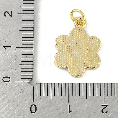 Brass Enamel Pendants KK-B114-09G-1