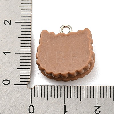 Cookies Theme Imitation Food Resin Pendants X-RESI-B021-02A-02-1