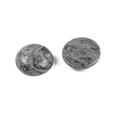 Natural Map Stone Cabochons G-T020-18mm-30-1