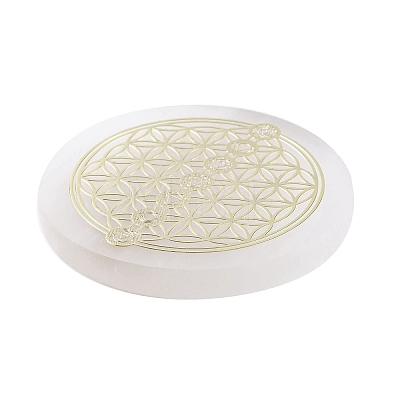 Flat Round Natural Selenite Slice Coasters DJEW-C015-02A-02-1