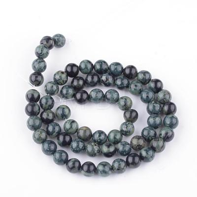 Natural Kambaba Jasper Beads Strands G-Q481-94-1