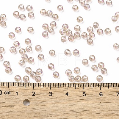6/0 Glass Seed Beads SEED-T006-04F-08-1