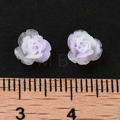 Luminous Resin Decoden Cabochons RESI-K036-43-1