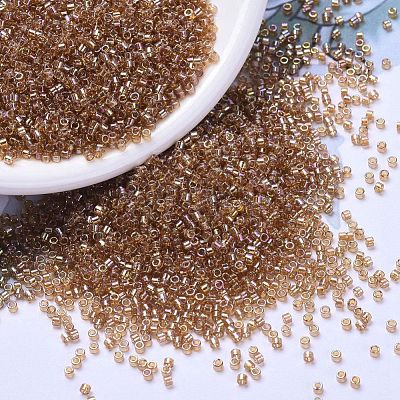 MIYUKI Delica Beads SEED-X0054-DB1241-1