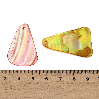 Dyed Natural Shell Pendants SHEL-C010-13-1