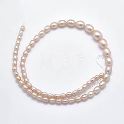 Natural Cultured Freshwater PearlBeads Strands PEAR-K003-21A-1