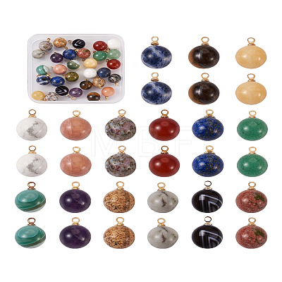 Yilisi 30Pcs 15 Colors Natural Gemstone Charms G-YS0001-01-1