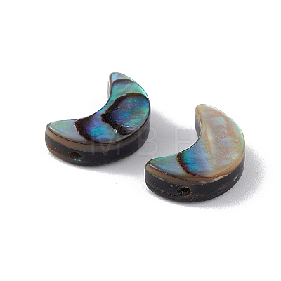 Natural Abalone Shell/Paua Shell Beads SSHEL-M021-05-1