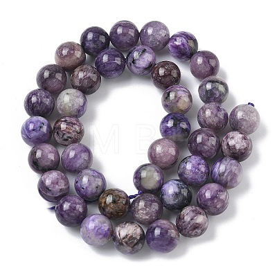 Natural Charoite Beads Strands G-C270-O02-10-1