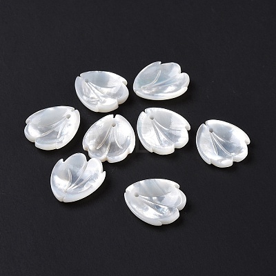 Natural White Shell Charms SSHEL-C011-07A-1