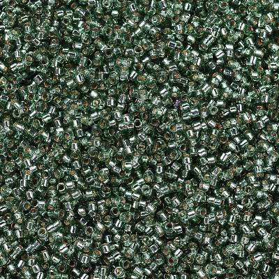 MIYUKI Delica Beads SEED-X0054-DB2165-1