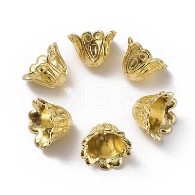 Tibetan Style Alloy Bead Caps X-TIBEB-EA9700YKG-G-LF-1