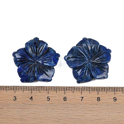 Natural Sodalite Carved Pendants G-B097-01A-04-1