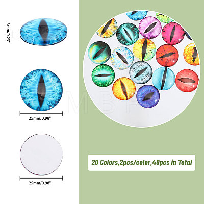 CHGCRAFT 40Pcs 20 Colors Luminous Self Adhesive Glass Eyes Cabochons DIY-CA0006-28-1