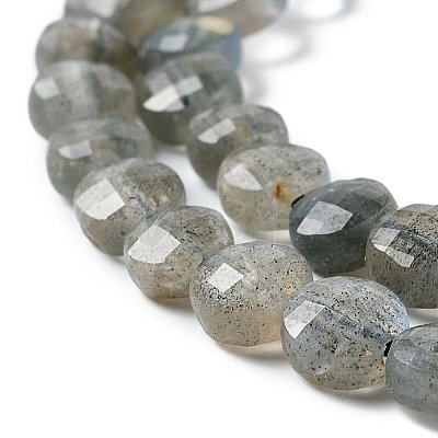 Natural Labradorite Beads Strands G-D0003-A95-1