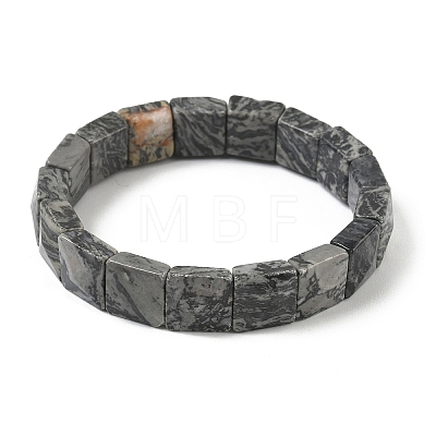 Natural Map Stone Beads Stretch Bracelets for Women Men BJEW-C097-06-10-1