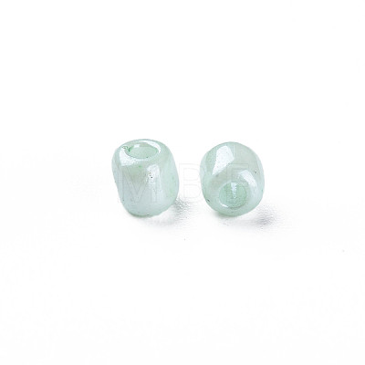 6/0 Glass Seed Beads SEED-N005-002A-F02-1