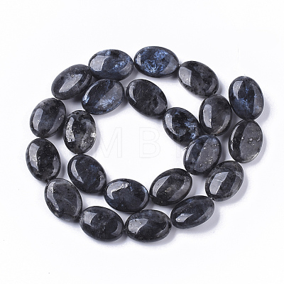 Natural Larvikite Beads Strands G-S359-001-1