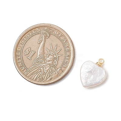 Natural Baroque Pearl Keshi Pearl Pendants PALLOY-JF04777-02-1
