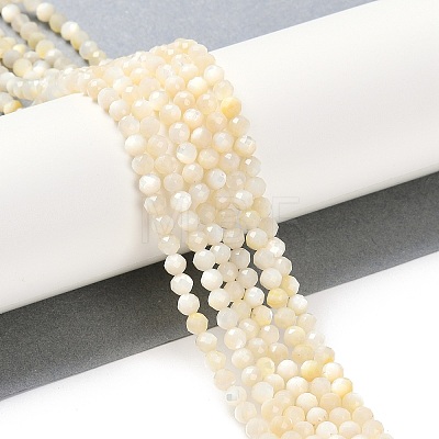 Natural White Shell Beads Strands SSHEL-E571-38A-4mm-1