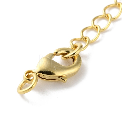 Brass Lobster Clasps & Ends with Chain KK-F880-34G-1