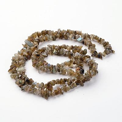Natural Labradorite Chips Beads Strands F069-1