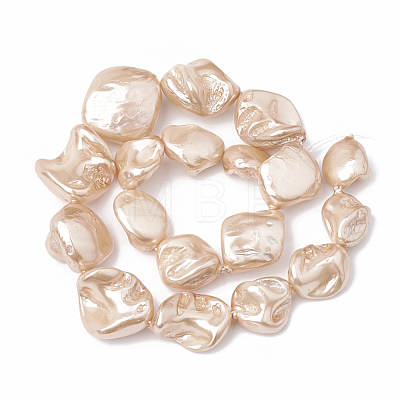 Shell Pearl Beads Strands BSHE-Q031-15F-1
