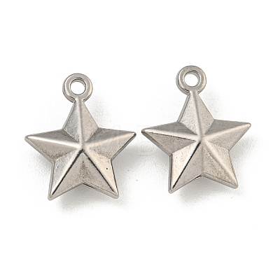 Non-Tarnish 304 Stainless Steel Charms STAS-I307-551P-1