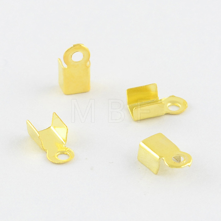 Iron Folding Crimp Ends E029-G-01-1