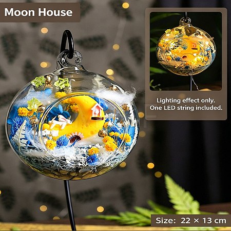 DIY Micro Landscape Making Kits RN-CBA80D0-01C-1