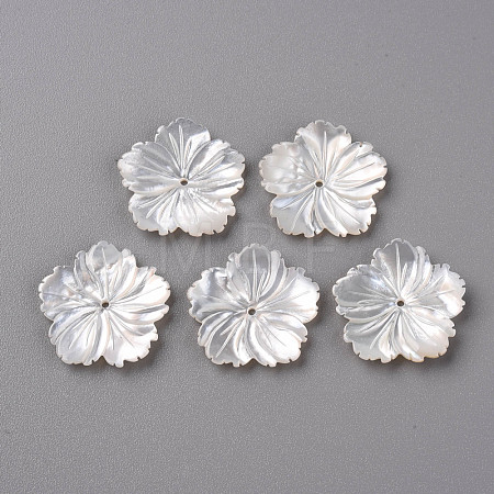Natural White Shell Mother of Pearl Shell Beads SSHEL-R144-37-1