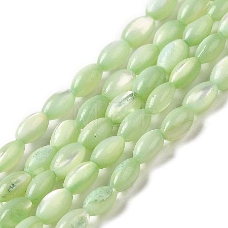 Natural Trochus Shell Beads Strands SHEL-K006-19E-1