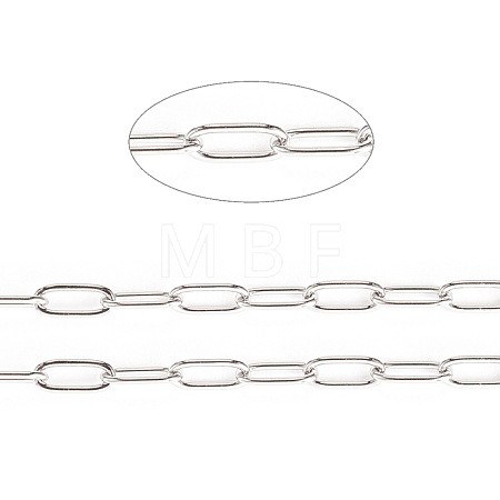 Tarnish Resistant 304 Stainless Steel Paperclip Chains CHS-F010-01D-P-1