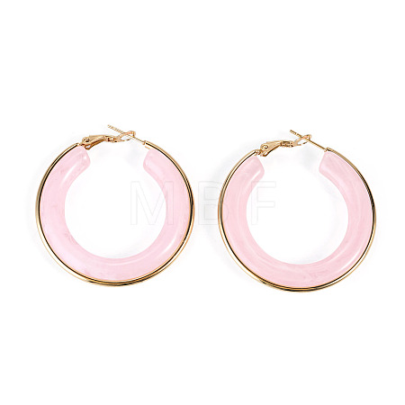 1 Pair 304 Stainless Steel Hoop Earrings EJEW-TA0001-89C-1