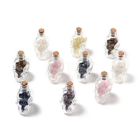 Mixed Gemstones Chips in Skull Glass Bottle Display Decorations DJEW-G039-02-1