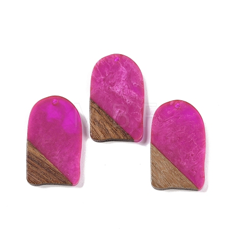 Resin & Wood Pendants WOOD-F015-13G-1