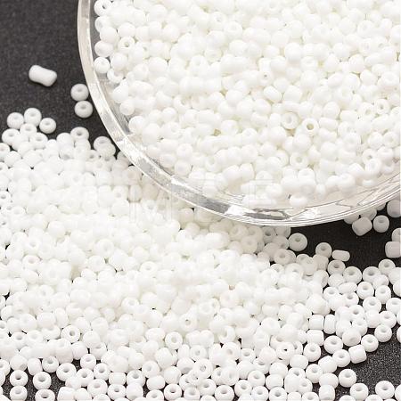 6/0 Glass Seed Beads SEED-J014-F6-41-1