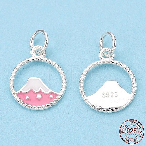 925 Sterling Silver Enamel Charms STER-T004-06S-01-1