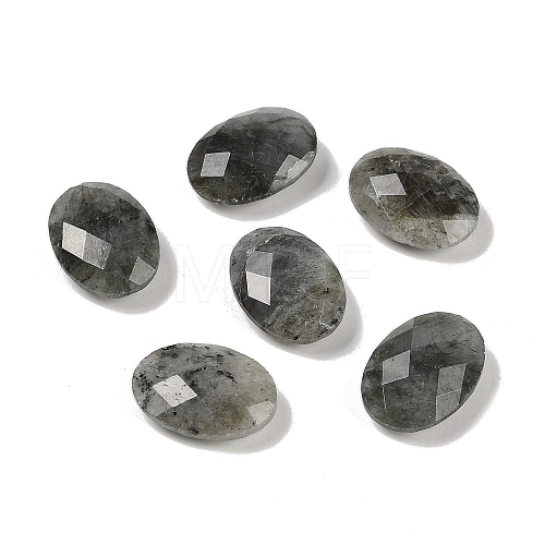 Natural Labradorite Cabochons G-O175-15O-01-1