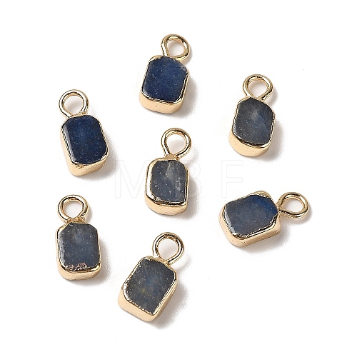 Natural Blue Aventurine Rectangle Charms G-Q169-07G-07-1