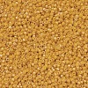 MIYUKI Delica Beads SEED-MY11-DB0651-3
