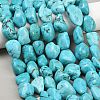 Natural Magnesite Beads Strands G-K244-05B-5