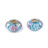 Lampwork & Brass Core European Beads LAMP-P019-01P-10-1