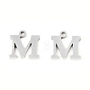 201 Stainless Steel Charms STAS-N091-176M-P-2